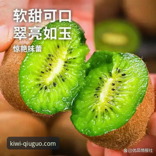奇异果体育官网2026最新版本 奇异果体育官网2026最新版本:8大核心功能升级详解与使用指南