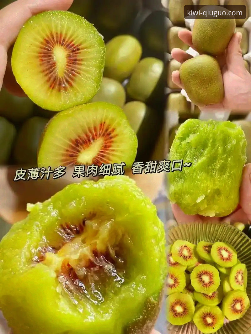 奇异果体育平台旧版本下载2026最新版本迎来重大突破，用户反馈新功能全面升级
