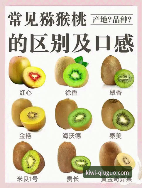 奇异果体育官网最新消息功能详解完整指南：从下载到赛事分析的实用手册