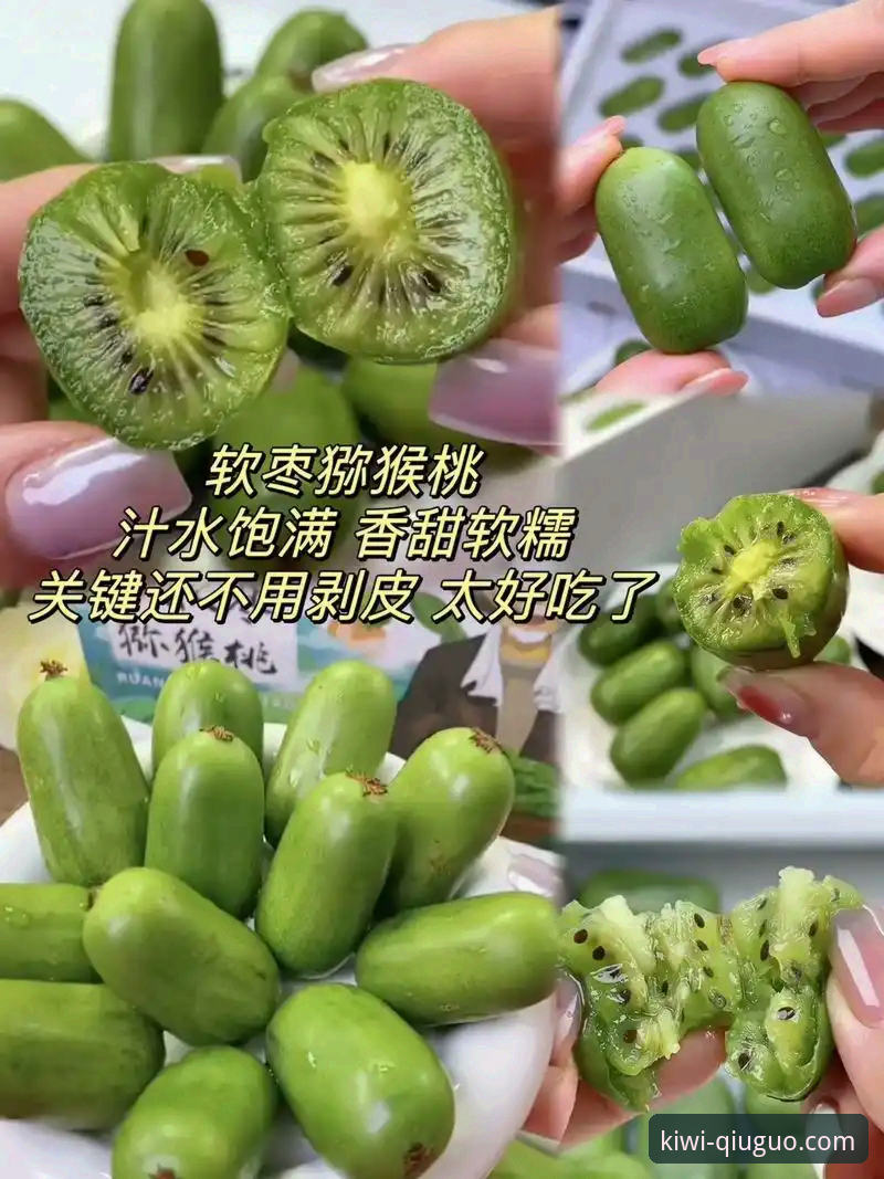 2026奇异果体育直播平台：从下载到精通的全方位使用指南