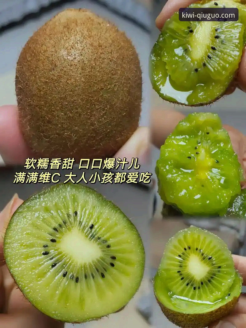 奇异果体育直播平台完整使用指南：从下载到深度赛事分析