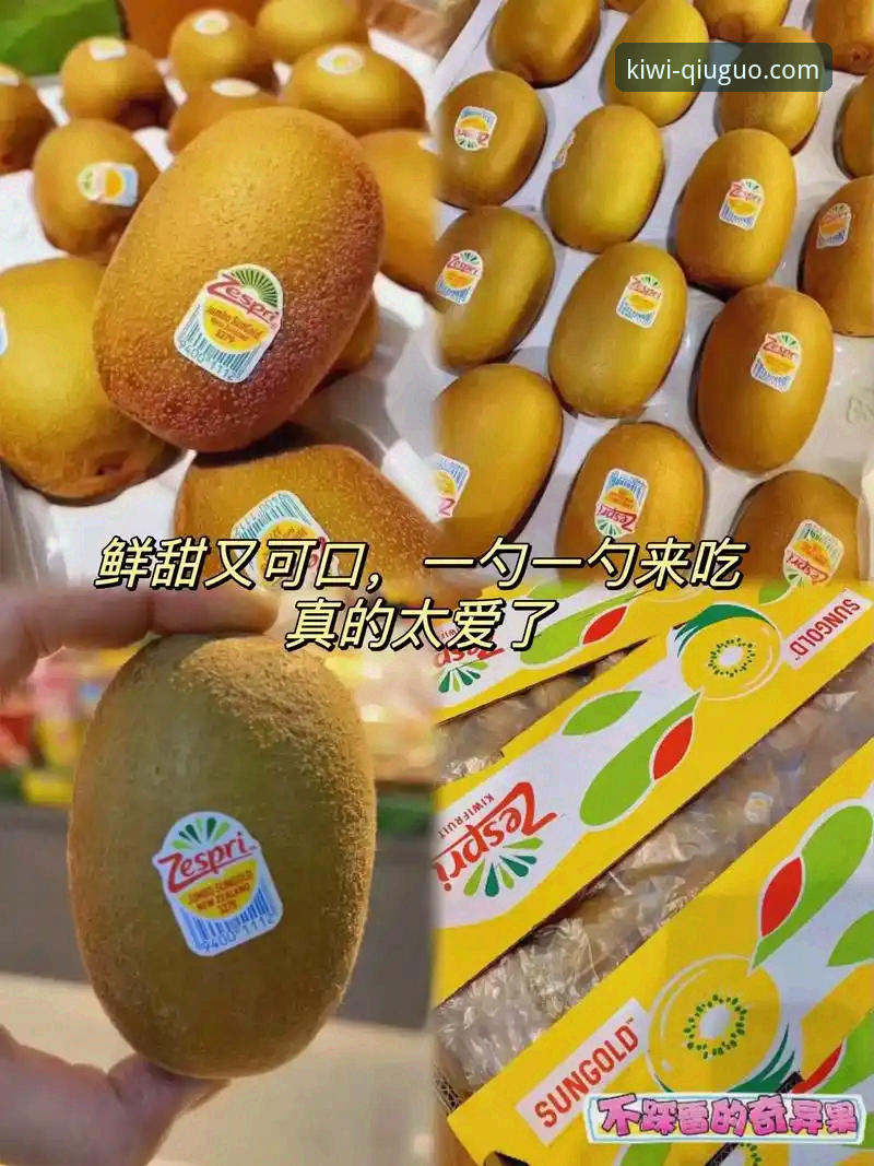 揭秘奇异果体育下载不了背后的真相，老用户分享实用解决方案