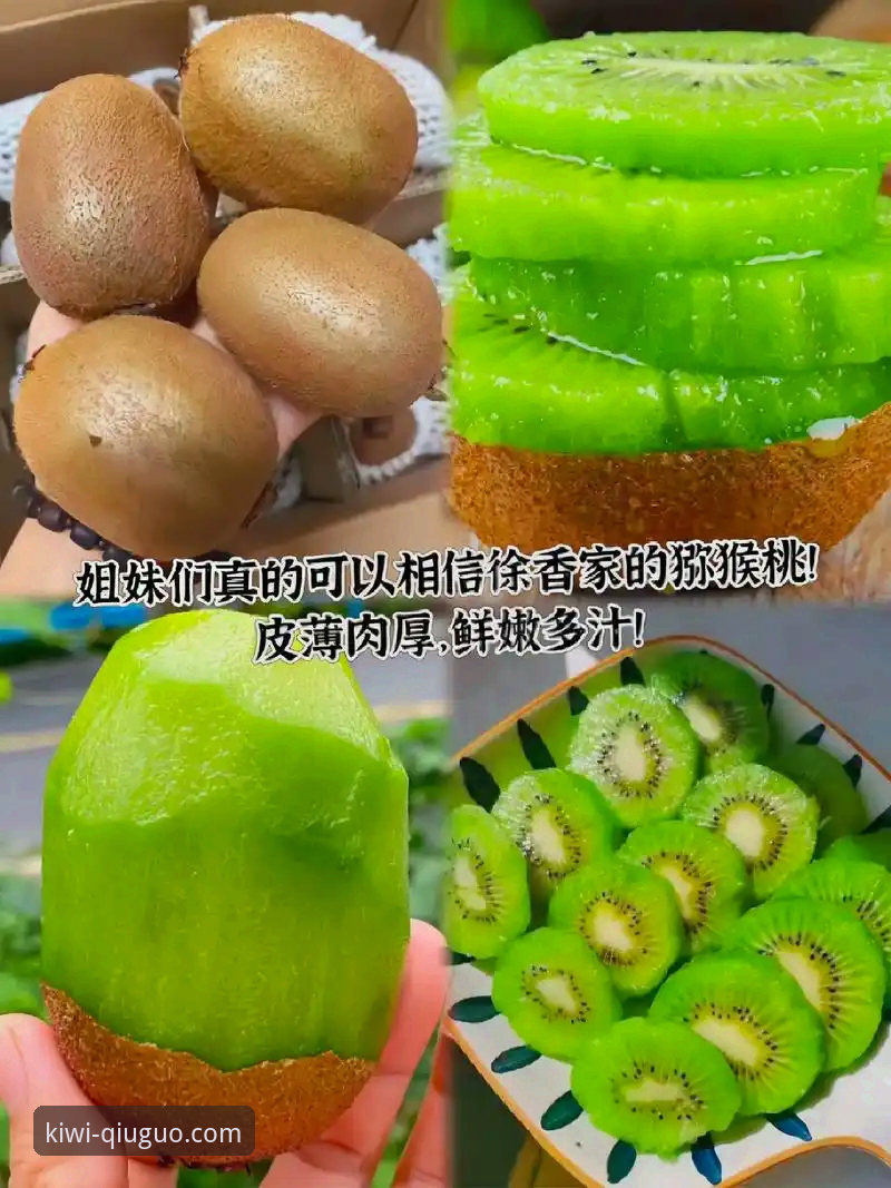 奇异果体育平台体验全解析：3个维度告诉你App值不值得下载