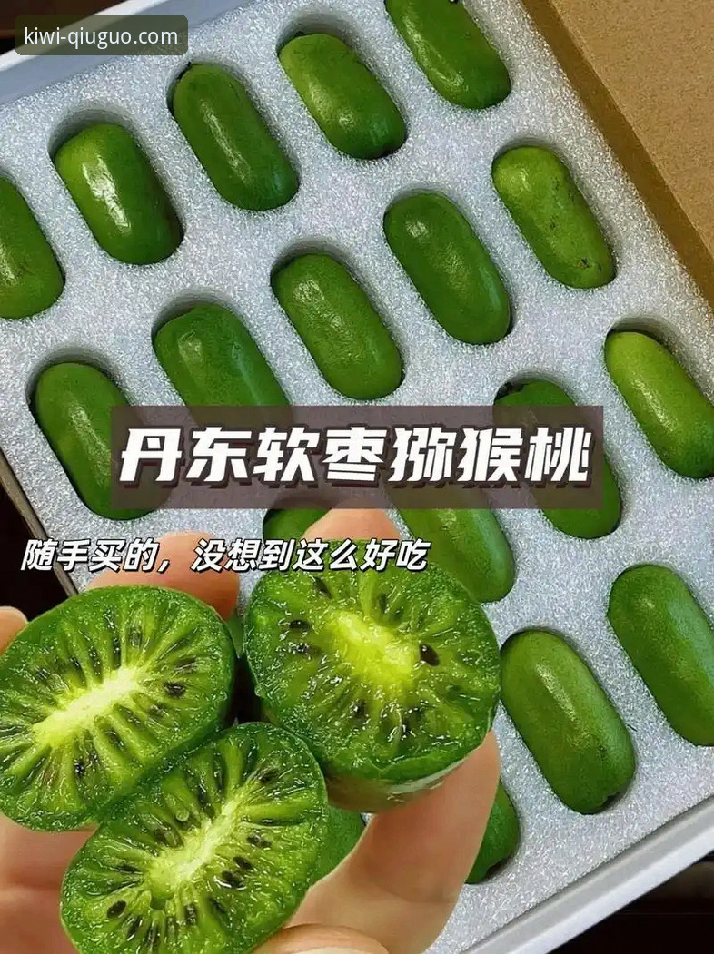 奇异果体育客户端实用指南：从下载到赛事分析的完整操作手册